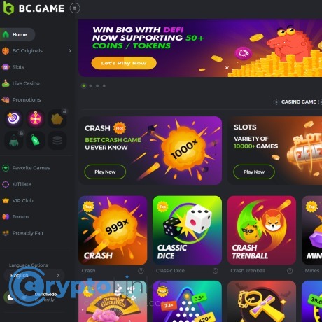 Unlock the Fun A Comprehensive Guide to BC.Game Mobile App